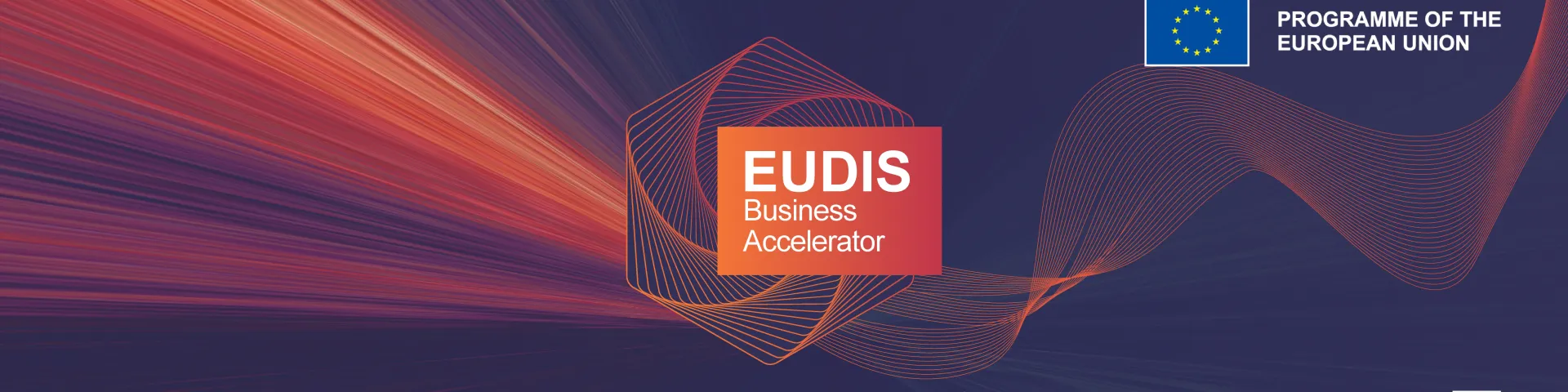 Business Accelerator